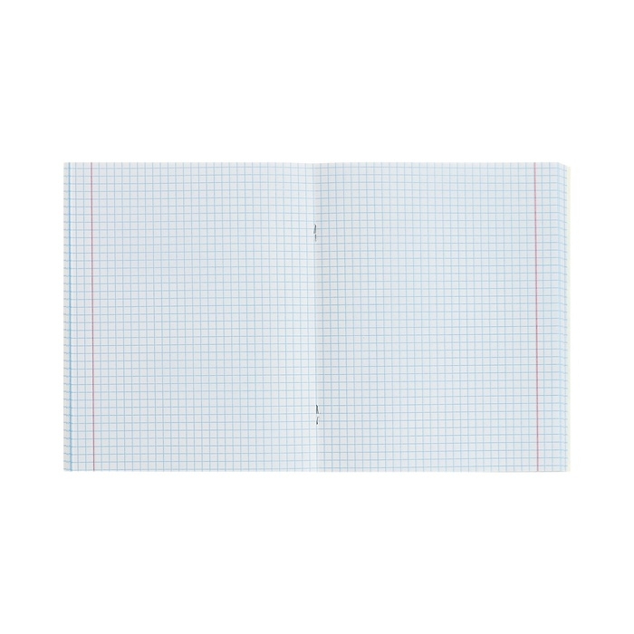 Тетрадь 96 листов в клетку Calligrata Тетрадь 96 листов в клетку Calligrata "Apricot Crush", обложка мелованный картон, глянцевая ламинация, блок офсет МИКС