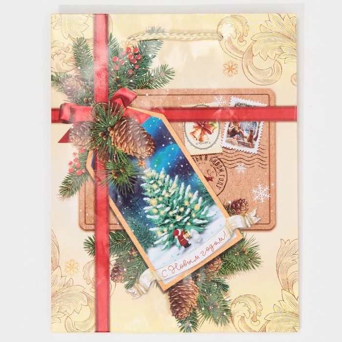 Пакет подарочный новогодний ламинированный «С Новым годом!», MS 18 х 23 х 8 см Пакет подарочный новогодний ламинированный «С Новым годом!», MS 18 х 23 х 8 см