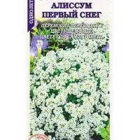 Семена Алиссум Первый снег белый /Сотка/ 0,05 г/*1500 Семена Алиссум Первый снег белый /Сотка/ 0,05 г/*1500