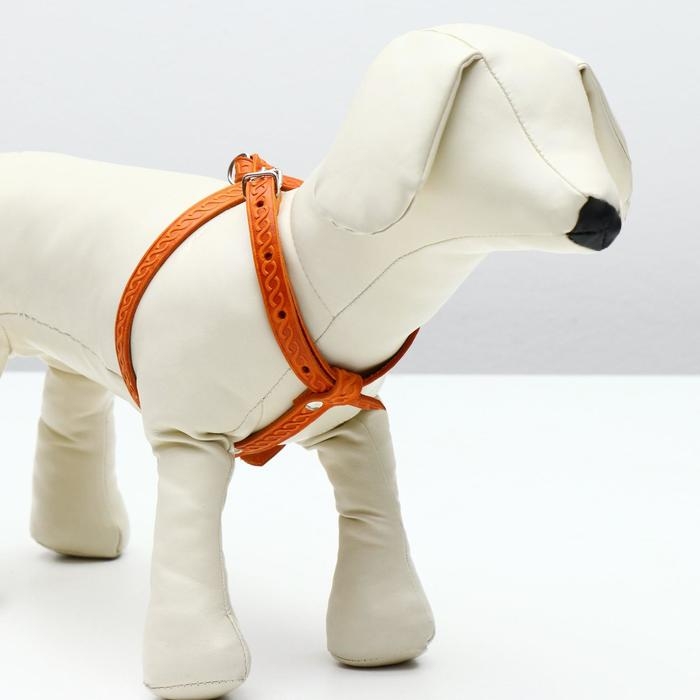 Шлейка кожаная для кошек и маленьких собак,ОШ19-30 см,ОГ 25-37 см,1.2 см, микс видов, цветов Шлейка кожаная для кошек и маленьких собак,ОШ19-30 см,ОГ 25-37 см,1.2 см, микс видов, цветов