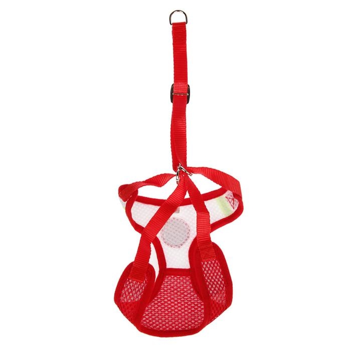 Шлейка регулируемая дышащая, светоотражающая, размер S (ОШ 14-30; ОГ 20-40 см), красная Шлейка регулируемая дышащая, светоотражающая, размер S (ОШ 14-30; ОГ 20-40 см), красная