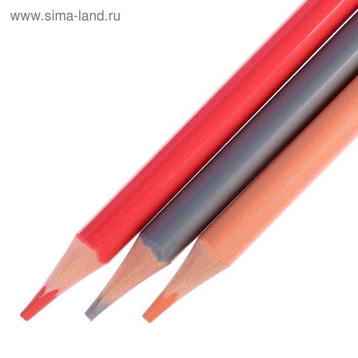 Карандаши цветные 36 цветов Funcolor пластиковые, МИКС Карандаши цветные 36 цветов Funcolor пластиковые, МИКС