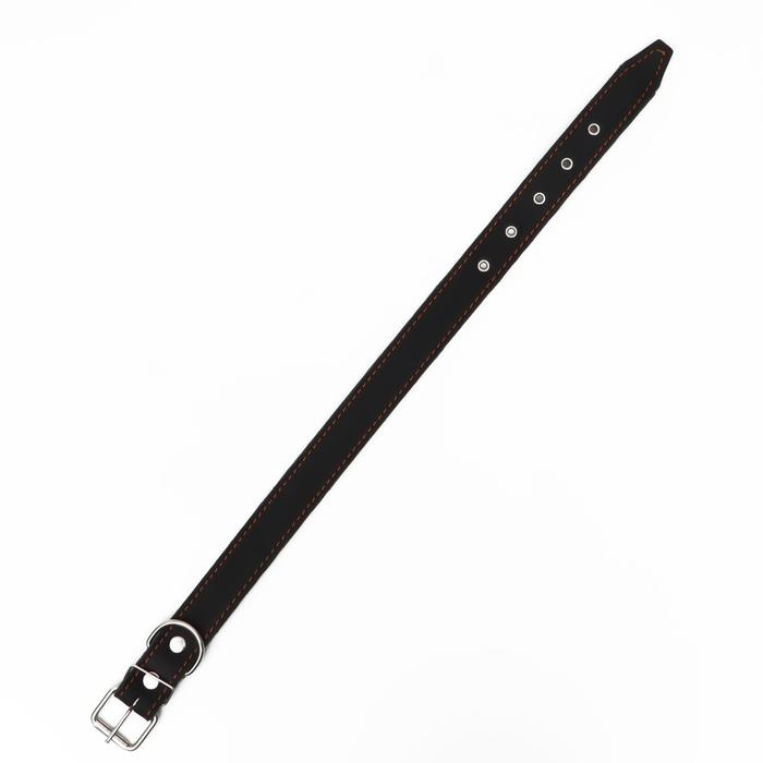 Ошейник комбинированный кожа/брезент, 69 х 3,5 см, ОШ 45-60 см, чёрный Ошейник комбинированный кожа/брезент, 69 х 3,5 см, ОШ 45-60 см, чёрный