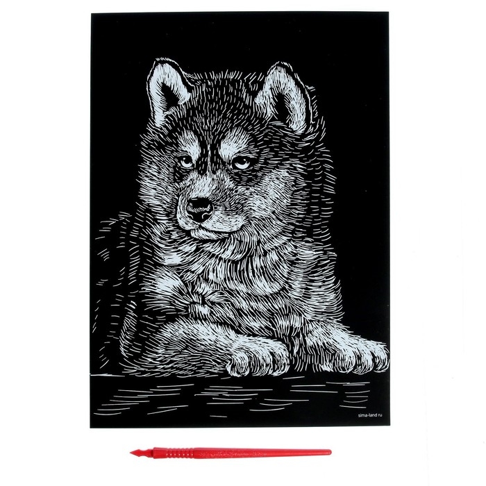 Гравюра «Щенок хаски» с металлическим эффектом «серебро» А4