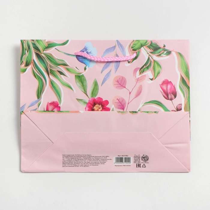 Пакет подарочный ламинированный горизонтальный, упаковка, «С праздником», MS 18 х 23 х 8 см Пакет подарочный ламинированный горизонтальный, упаковка, «С праздником», MS 18 х 23 х 8 см