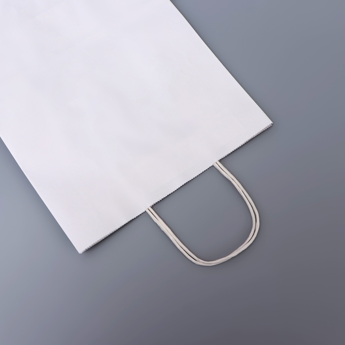 Пакет белый без печати, круглая ручка, 31 х 12 х 42 см, 120 г Пакет белый без печати, круглая ручка, 31 х 12 х 42 см, 120 г