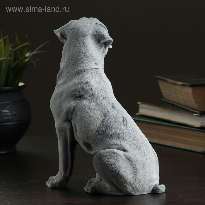 Сувенир  Сувенир "Ротвейлер (большой)" 19,5см