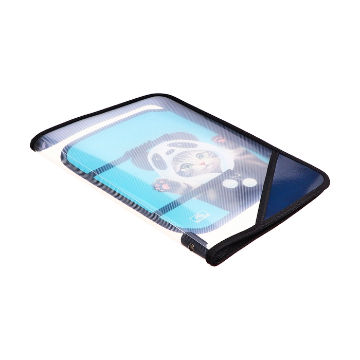 Папка для труда А4, 325 х 230 х 25 мм, молния вокруг, откидная планка, пластиковая, ПТР-1, Calligrata  Папка для труда А4, 325 х 230 х 25 мм, молния вокруг, откидная планка, пластиковая, ПТР-1, Calligrata "Котик панда"