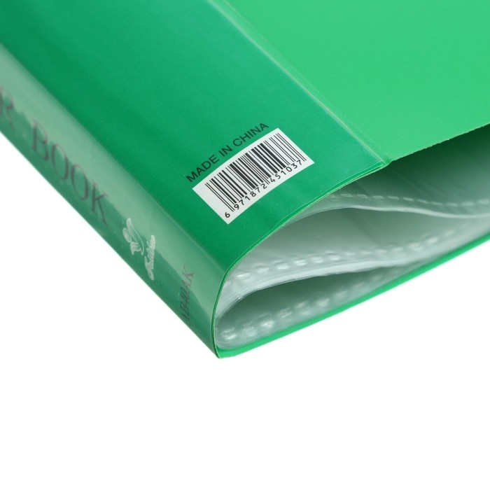 Папка с 40 вкладышами Calligrata А4, 400мкм, МИКС Папка с 40 вкладышами Calligrata А4, 400мкм, МИКС