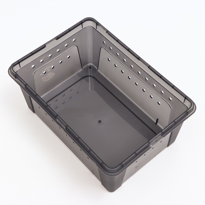 Переноска - отсадник для рептилий, 26 х 17,5 х 11,5 см, черная Переноска - отсадник для рептилий, 26 х 17,5 х 11,5 см, черная