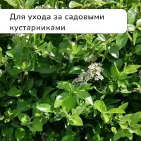 Секатор плоскостной, 9" (23 см), с пластиковыми ручками, МИКС