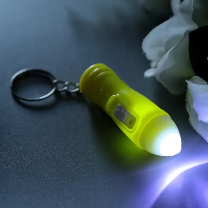 Фонарик брелок для ключей на кольце «Ручка», светит, 5×1×1 см, МИКС Фонарик брелок для ключей на кольце «Ручка», светит, 5×1×1 см, МИКС