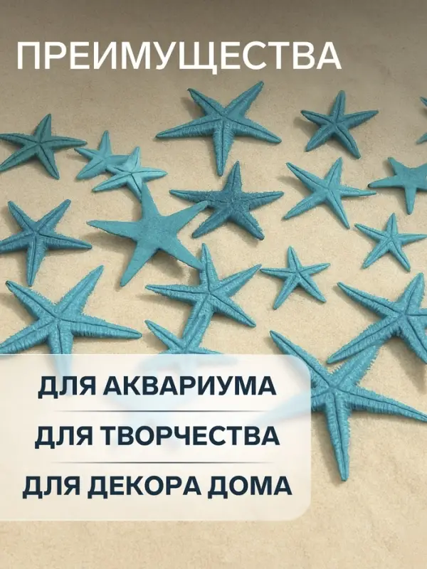 Набор натуральных морских звезд, 1.5 - 2.5 см, 20 шт., синий