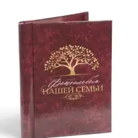 Фотоальбом на 80 фото, 20 магнитных листов "Фотоальбом нашей семьи"