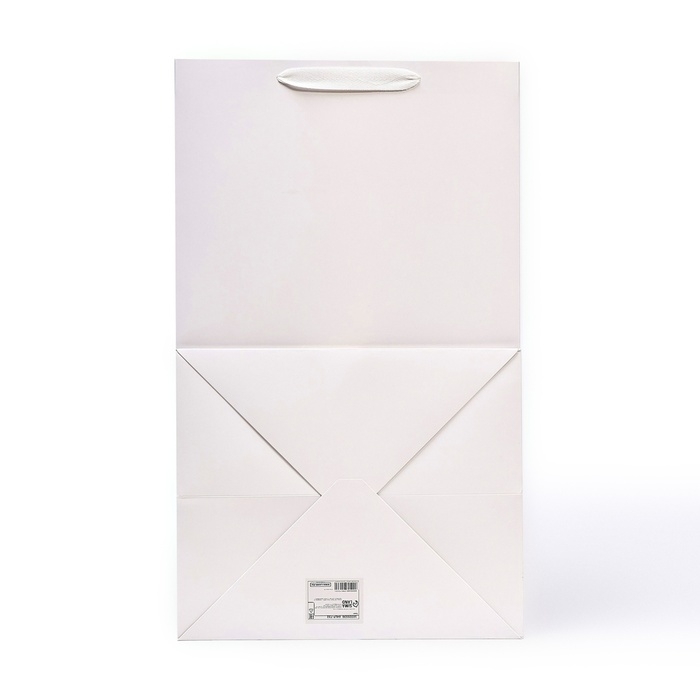 Пакет подарочный с окном, белый, 50 х 30 х 25 см Пакет подарочный с окном, белый, 50 х 30 х 25 см