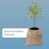 Мешок джутовый, 45 × 60 см, плотность 315 г/м², плетение 46 × 40 нитей, с завязками