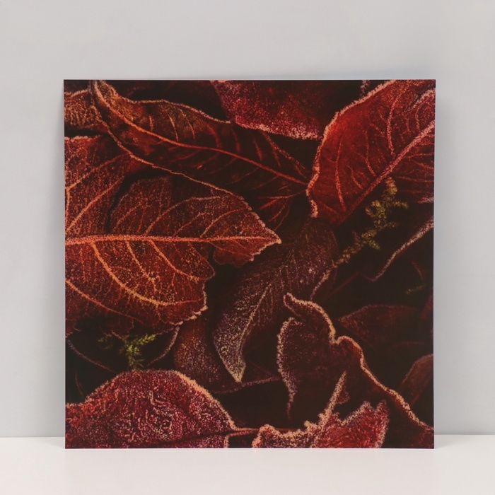 Фотофон двусторонний картон плотность 350 гр Фотофон двусторонний картон плотность 350 гр "Листья" 50х50 см