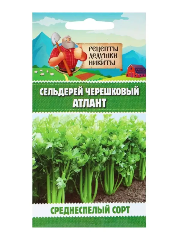 Семена Сельдерей &laquo;черешковый Атлант&raquo;, 0.5 г, &laquo;Рецепты дедушки Никиты&raquo;