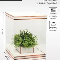 Коробка для цветов с вазой и PVC окнами складная, бронза, 23&times;30&times;23 см