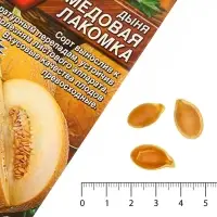 Семена Дыня &laquo;Медовая лакомка&raquo;, 1 г, &laquo;Аэлита&raquo;