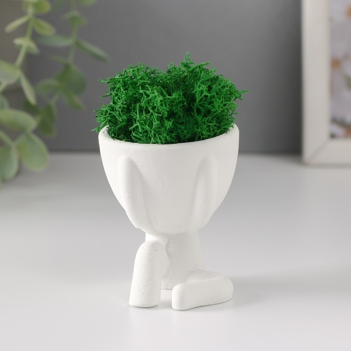 Стабилизированный мох в кашпо из бетона «Мистер Грин Мидзару», мини, 5.5×6.5×6.5 см, белый Стабилизированный мох в кашпо из бетона «Мистер Грин Мидзару», мини, 5.5×6.5×6.5 см, белый