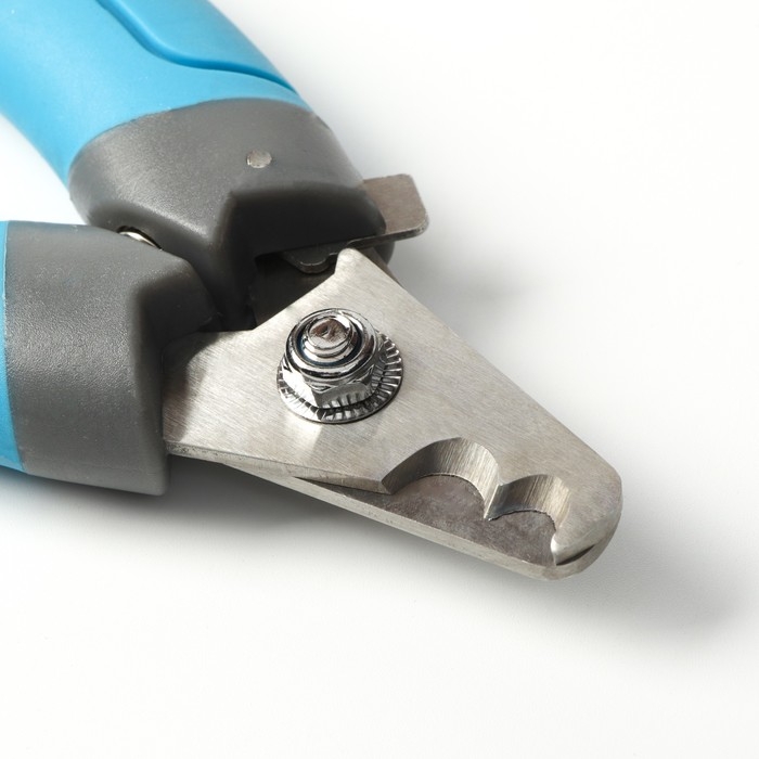 Когтерез боковой с 2 отверстиями, большой, голубой Когтерез боковой с 2 отверстиями, большой, голубой