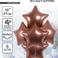 Воздушные шары фольгированные 19" &laquo;Каштан&raquo;, 5 шт.