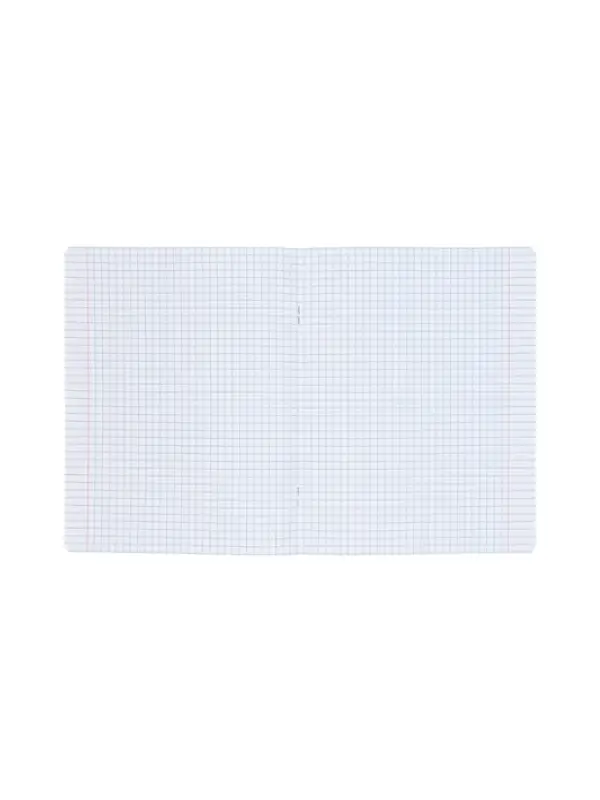 Тетрадь 48л кл Hatber "Капибара_day", на скобе, скругл углы, 60-65г/м&sup2; 5В МИКС