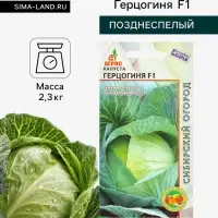 Семена Капуста &laquo;Герцогиня&raquo;, F1, 0.1 г, &laquo;Агросс&raquo;