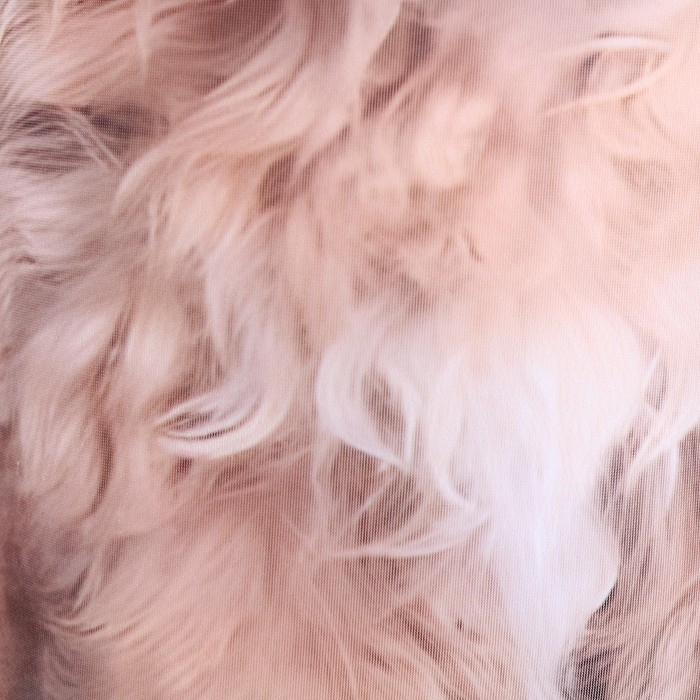 Антистресс игрушка, собака "Мальтипу"