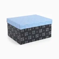 Коробка складная Present, 31 х 25,5 х 16 см