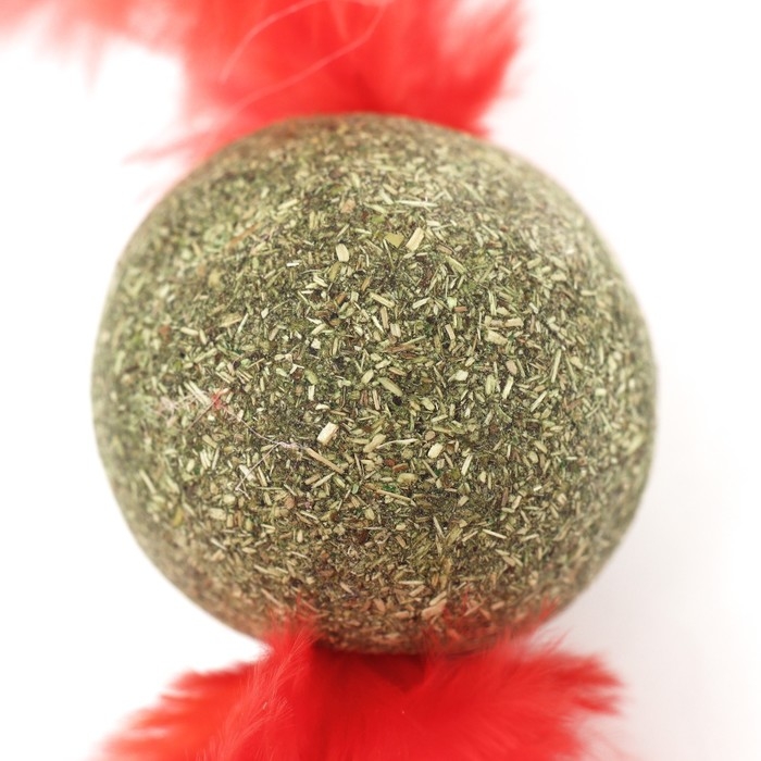 Игрушка для кошек из прессованной кошачьей мяты  Игрушка для кошек из прессованной кошачьей мяты "Кошачья стрела", 3,2 см