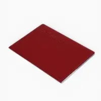 Обложка для паспорта, пвх, 9.5&times;0.5&times;13.5 см, МИКС