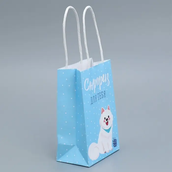 Пакет подарочный крафтовый, упаковка, «Сюрприз для тебя», 15 х 10 х 6 см Пакет подарочный крафтовый, упаковка, «Сюрприз для тебя», 15 х 10 х 6 см