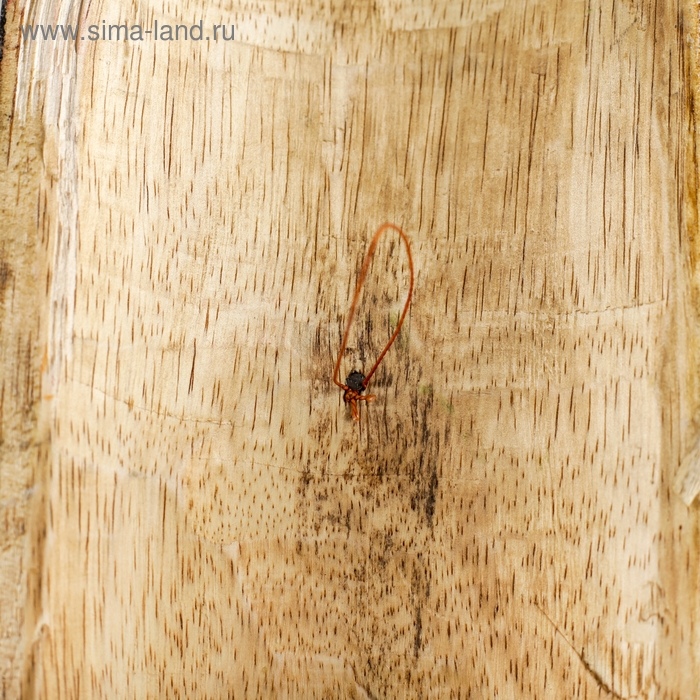 Интерьерный сувенир маска Интерьерный сувенир маска "Совушка" 50х12х5 см