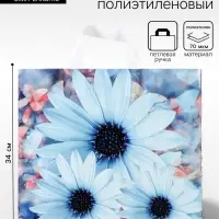 Пакет &laquo;Дарси&raquo;, полиэтиленовый с петлевой ручкой, 37&times;34 см, 70 мкм