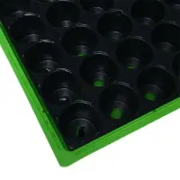 Мини-парник для рассады, 57&times;36&times;13.5 см, 1 вставка, 40 ячеек, Greengo