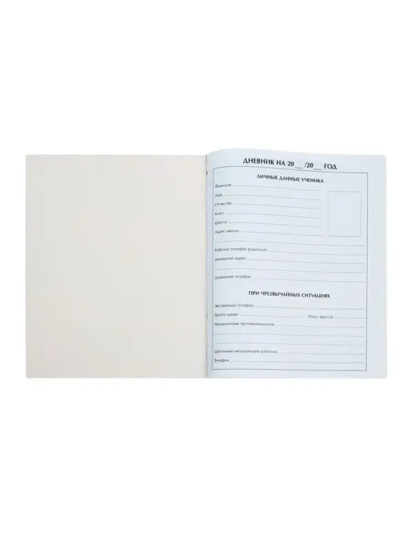 Дневник школьный для 1-11 классов, &laquo;Школа&raquo;, мягкая обложка, 40 листов