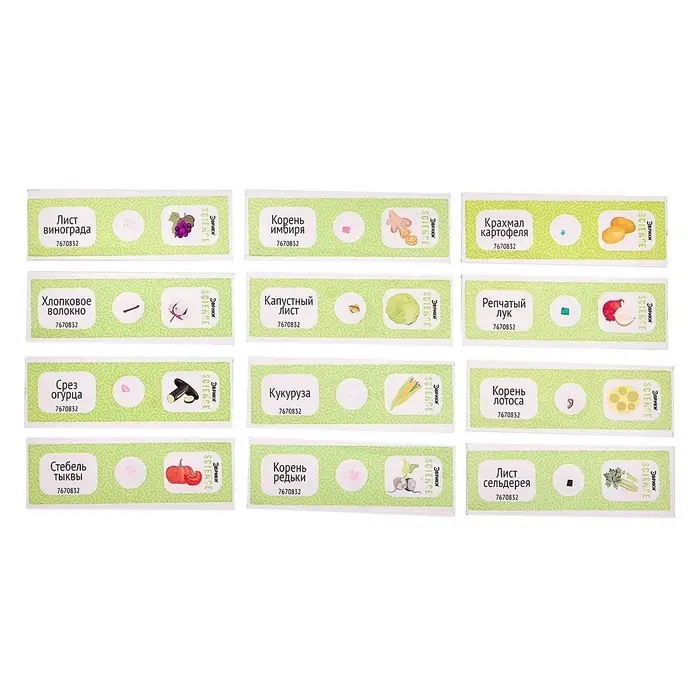 Набор для опытов &laquo;Набор микропрепаратов&raquo;, растения