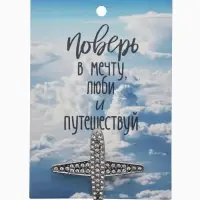 Брошь &laquo;Самолёт туристический&raquo;, белая в серебре