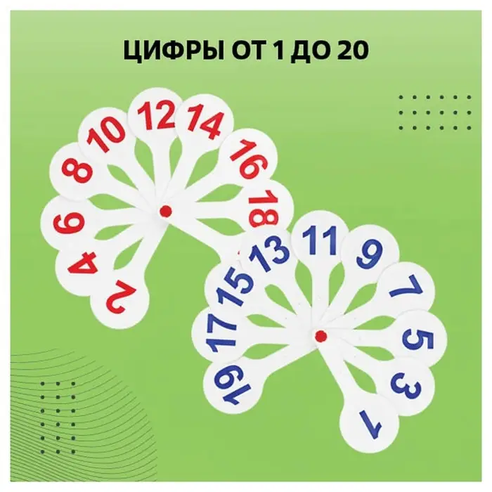 Набор веер-касс, гласные, согласные и цифры, Стамм, 3 штуки, плотные, пакет с европодвесом