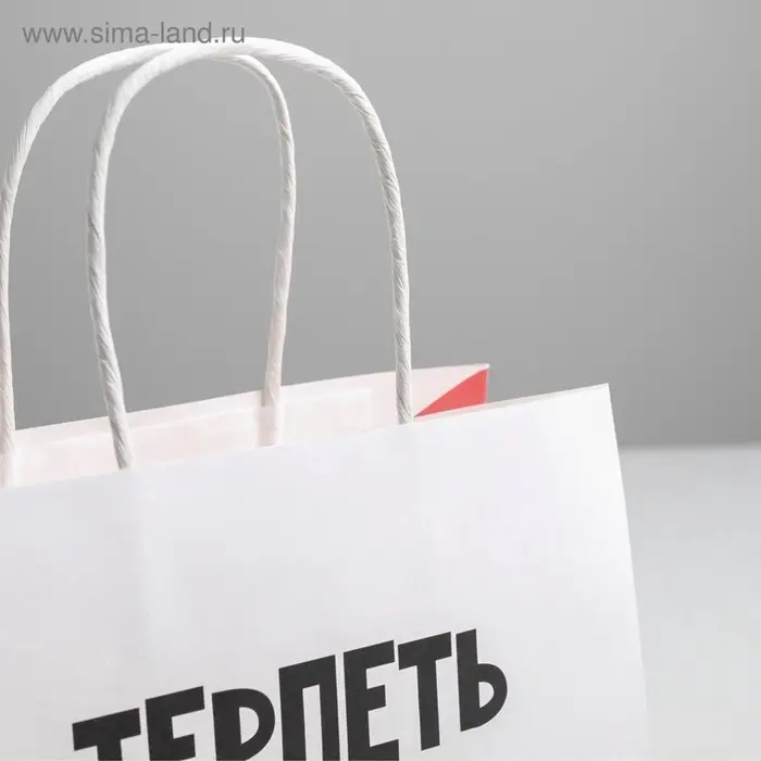 Пакет подарочный, упаковка, &laquo;Терпеть тебя не могу&raquo;, 22&times;22&times;11 см