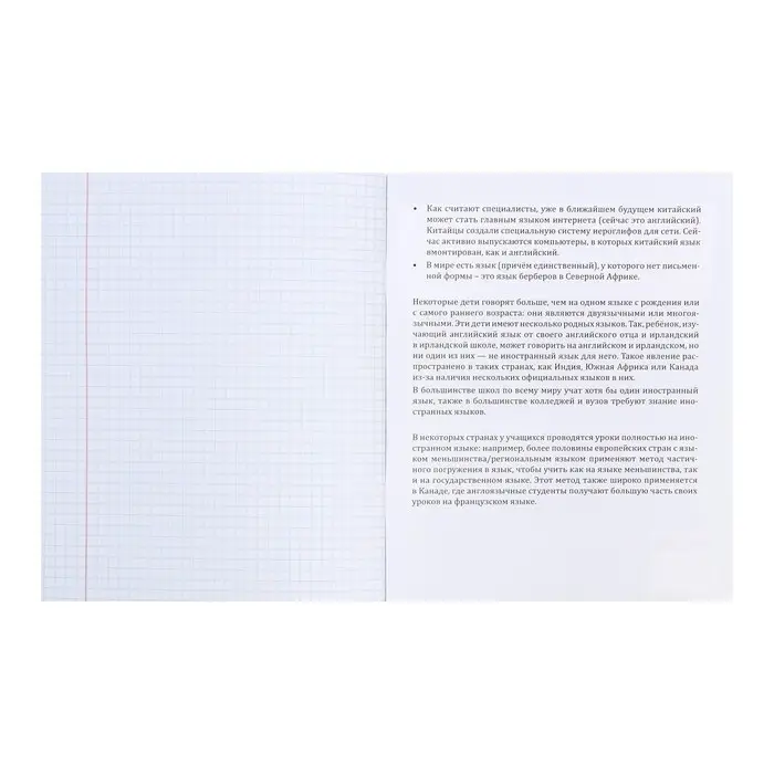 Тетрадь предметная 48 листов в клетку Error &laquo;Иностранный язык&raquo;, обложка мелованная бумага, блок офсет