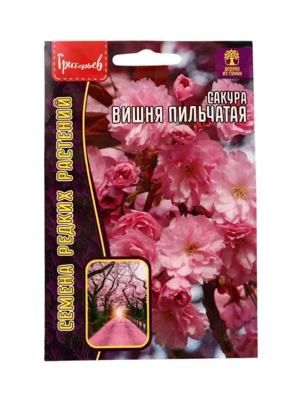 Семена цветов Сакура Вишня мелкопильчатая 5шт. / НОВИНКА  12.29 г.