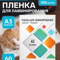 Пленка для ламинирования A3 303&times;426 мм, 60 мкм, 100 штук, глянцевые, Гелеос