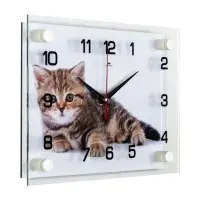 Часы настенные интерьерные &laquo;Котёнок&raquo;, бесшумные, 20&times;26 см