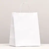 Пакет крафт без печати, белый, круглая ручка 24&times;14&times;28 см