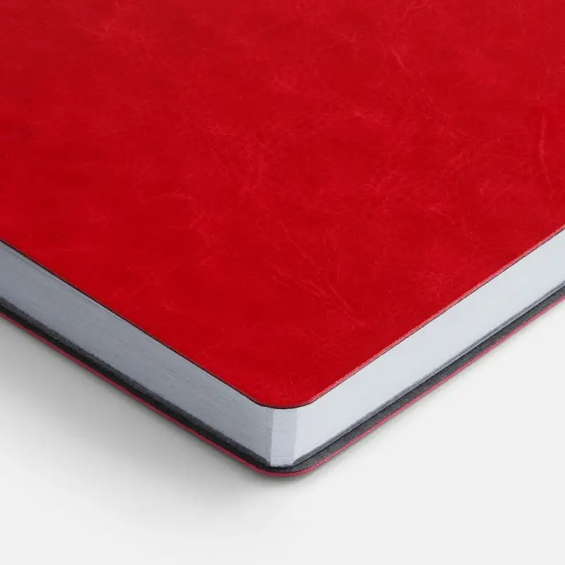 Ежедневник Nebraska Flex, недатированный, красный с серебристым Ежедневник Nebraska Flex, недатированный, красный с серебристым