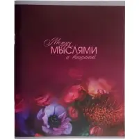 Тетрадь 96 листов в клетку Calligrata &laquo;Светотень&raquo;, блок №2, серые листы, обложка МИКС