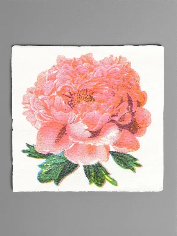 Салфетки бумажные Гармония цвета многоцветие Салфетки бумажные Гармония цвета многоцветие "Пион розовый", 24*24 см 50 листов